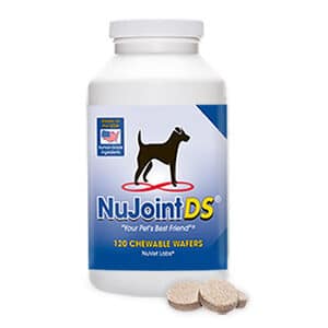 Giant Rottweiler Joint Supplements