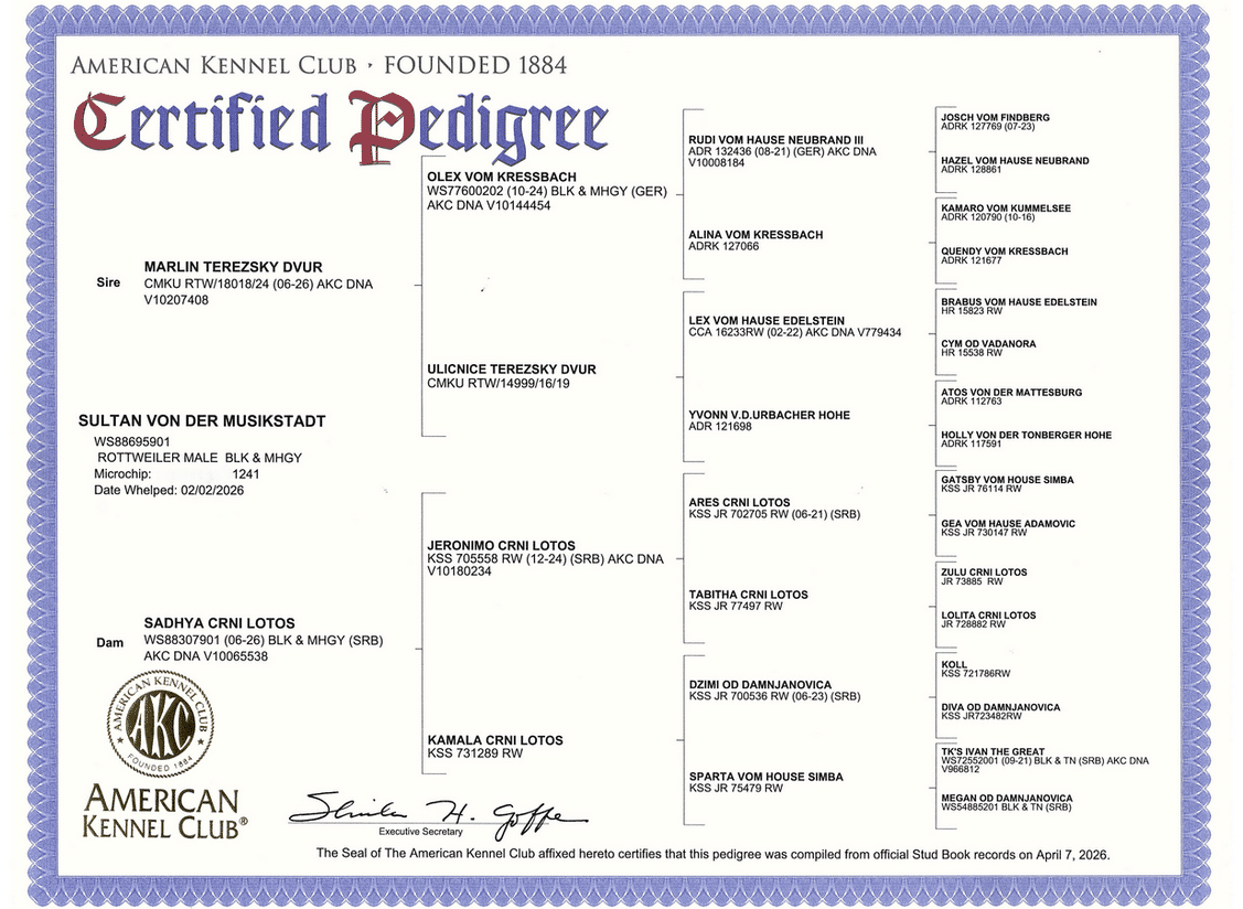https://www.rottweilerpuppies.com/wp-content/uploads/2026/06/Sultan-Pedigree-web-a.png