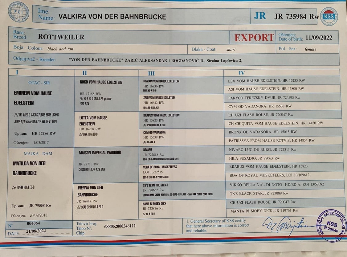 https://www.rottweilerpuppies.com/wp-content/uploads/2026/06/Valkira-Von-Der-Bahnbrucke-pedigree.jpg
