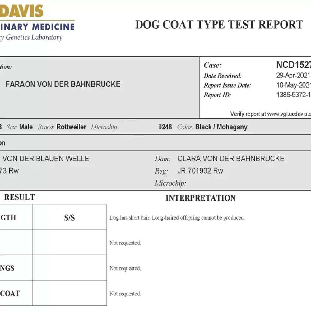 Faraon-Rottweiler-Cost-Length-Testing_Page_Web