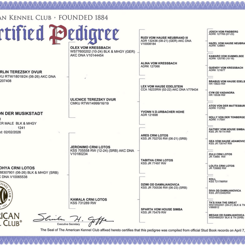 Sultan-Von-Der-Musikstadt Pedigree