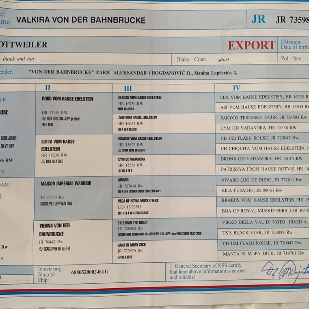 Valkira Von Der Bahnbrucke pedigree