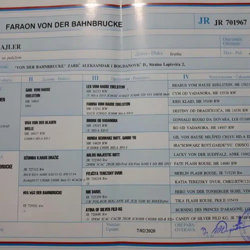 Faraon Von Der Bahnbrucke pedigree